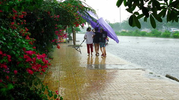 МИД предупредил россиян о проливных дождях в Таиланде до октября