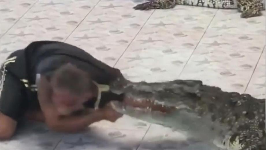 Крокодил напал на дрессировщика в Таиланде