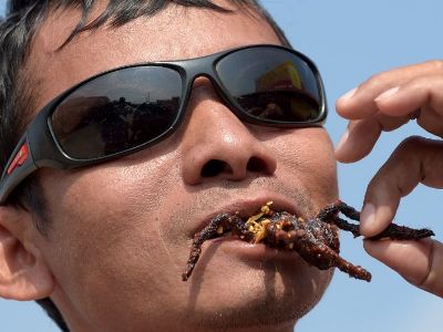 В Камбодже одна из самых популярных закусок из жареных тарантулов становится деликатесом