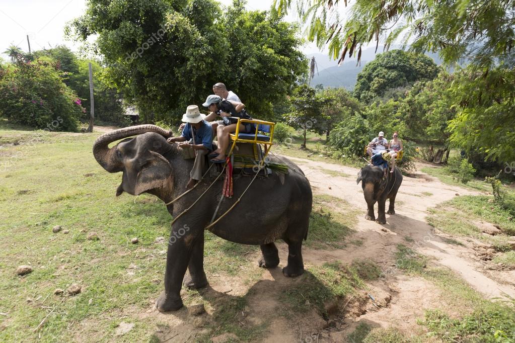 Двое туристов пострадали во время катания на слоне в провинции Пханг-Нга