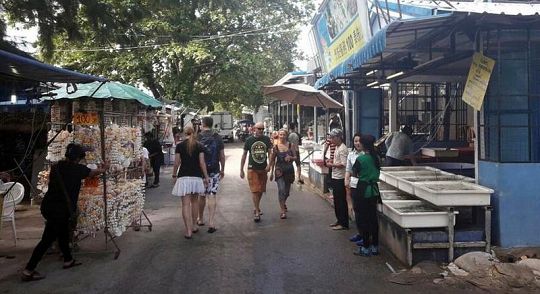 Власти проверят законность ресторанов у цыганской деревни в Раваи