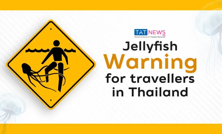Рекомендации Туристического управления Таиланда на случай получения ожога от медузы