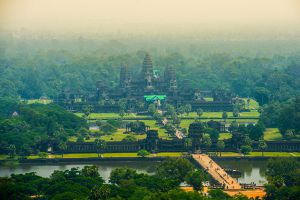 Миллион гектаров лесов в Камбодже внесут в список охраняемых