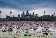 SEE CAMBODIA BEFORE YOU DIE