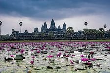 SEE CAMBODIA BEFORE YOU DIE