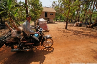 Сельская жизнь в Камбодже I