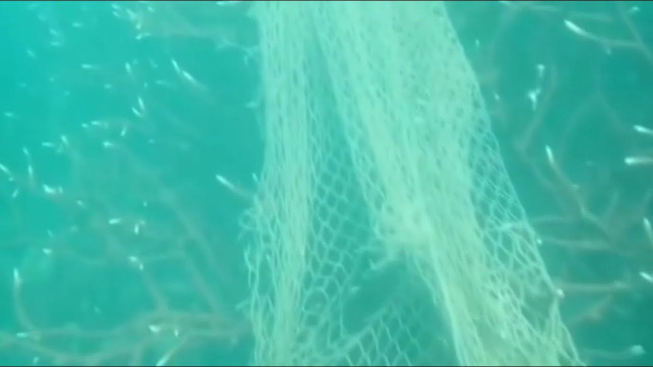В Таиланде защитники морской среды извлекли 300 килограммов подводного мусора