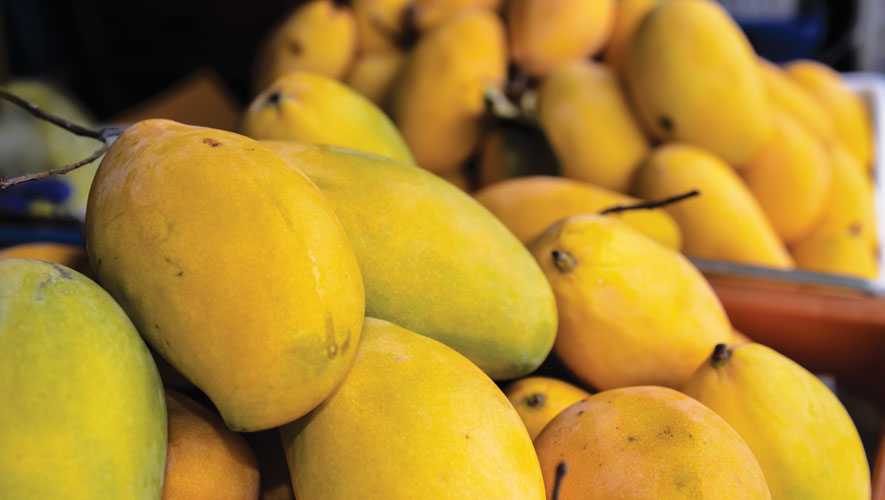Китай наладил постоянный импорт манго из Камбоджи