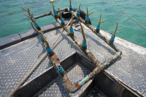 Возле Паттайи утопили лодку и бетонные трубы, чтобы восстановить коралловый риф