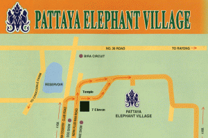 Деревня слонов в Паттайе (Pattaya Elephant Village)