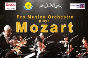 Моцарт в исполнении камерного оркестра