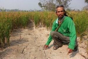 Правительство Таиланда покроет часть долгов фермерам в ближайшее время