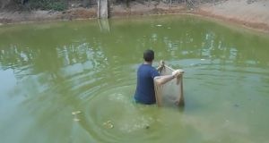 Нетуристический Таиланд. Рыбалка на озере в джунглях