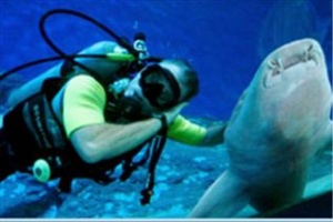 Аквариум "Подводный мир" в Паттайе