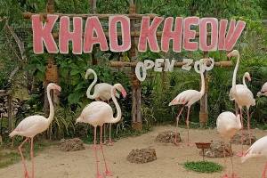 Зоопарк Кхао Кхео – один из лучших в мире