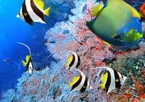 Океанариум в Паттайе. Underwater World Pattaya