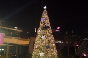 Большая рождественская елка осветила район Централ Фестивал