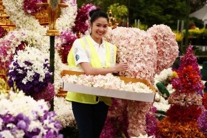 Цветущий Таиланд – любуйтесь круглый год
