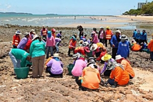 Пляжи Паттайи станут чистыми