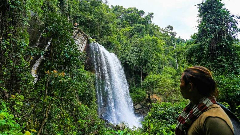 Две охраняемые территории Камбоджи включены в список Всемирного природного наследия ЮНЕСКО