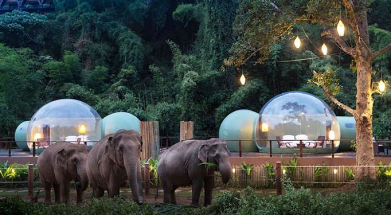 В Таиланде туристам предлагают переночевать среди слонов