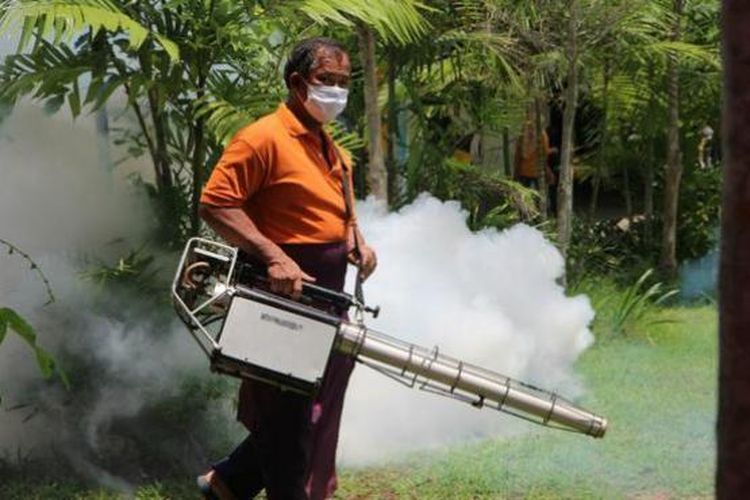 Пхукет лидирует в Таиланде по числу случаев денге