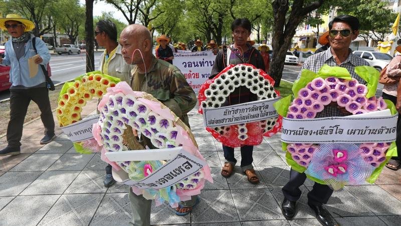 Премьер-министр Таиланда поддержал запрет на использование химических веществ в сельском хозяйстве