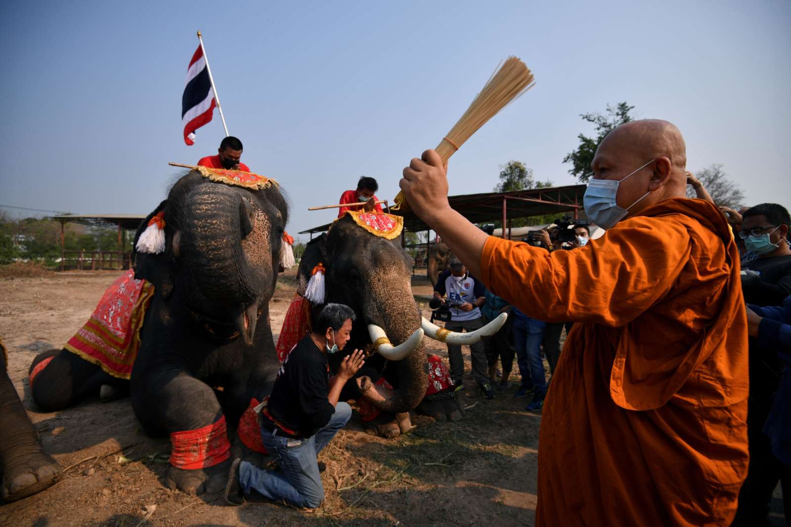 Таиланд отметил День слона в надежде, что туристы скоро вернутся