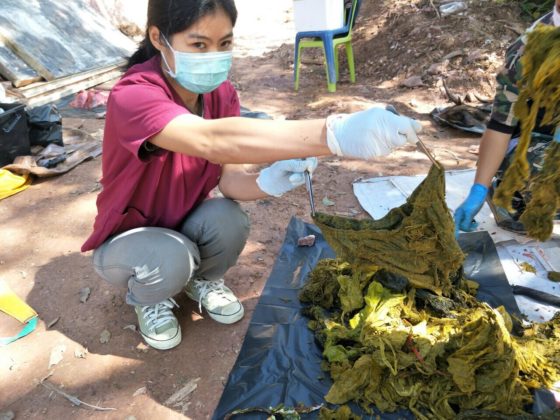 В Таиланде умер олень — в его желудке обнаружили 7 кг пластика