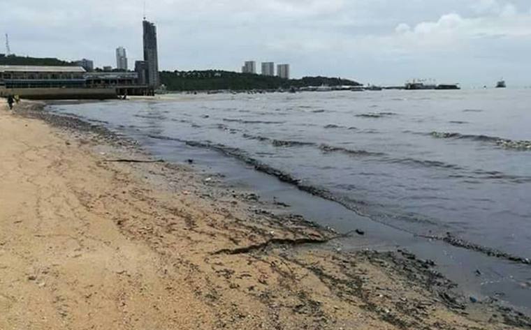 Море возле Паттайи превратилось в черное болото