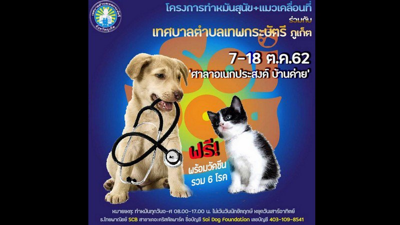 Фонд Soi Dog проводит бесплатную стерилизацию и вакцинацию кошек и собак в Таланге