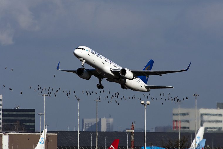 Как дешевле долететь из Санкт-Петербурга в Бангкок