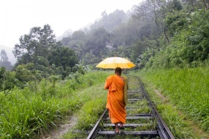 Буддистский монах лишился сана за секс с мужчиной