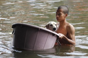 Жители юга Таиланда страдают от наводнения, а севера – от холода