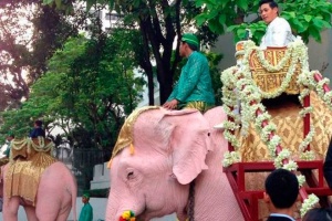 Каскадер "Форсажа" сыграл свадьбу в тайском стиле