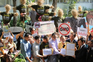 Глава правительства Таиланда отклонил проект закона о ГМО