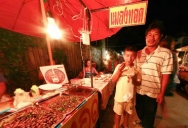 Edible Bugs on Koh Samui Thailand