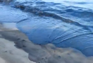 Oil spill west coast Koh Samui