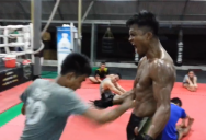 Thai training