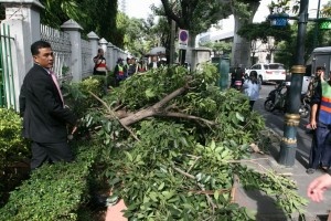 На кортеж тайского премьер-министра упало дерево