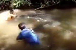 Вот так ловят рыбу в Таиланде