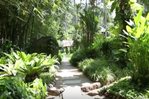 Tamarind springs forest & spa
