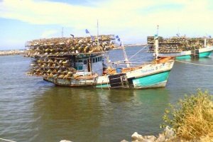 Евросоюз поместил Таиланд в «желтый список» за незаконный рыбный промысел
