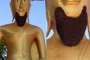 «Живая» борода из пчел появилась у Будды в одном из храмов в Таиланде