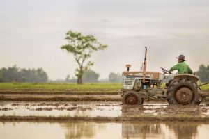 Фермерам в Таиланде посоветовали копать пруды