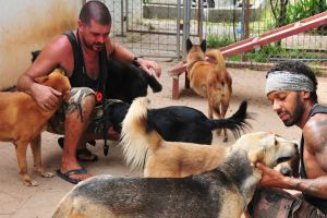 Деньги от продажи локона Дэвида Боуи пожертвуют собачьему приюту Soi Dog на Пхукете