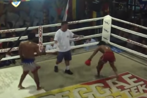 Тайский бокс или реслинг?