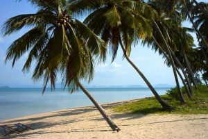 Пляж Тонг Кут (Thong Krut)