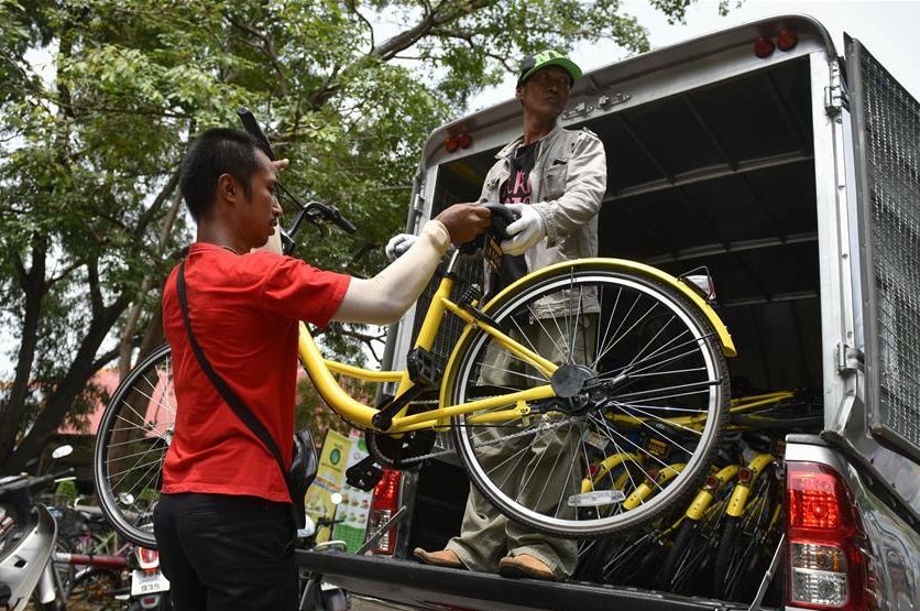 Сервис велопроката Ofo покидает Таиланд