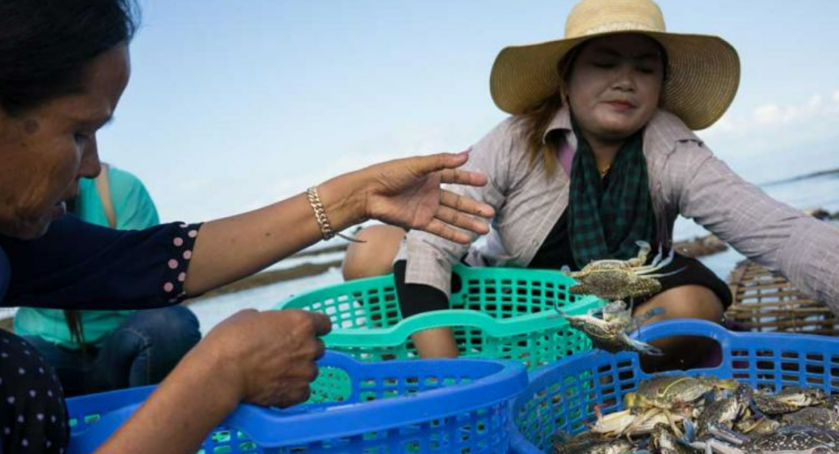 Проект по рыболовству стоимостью 100 миллионов долларов запланирован в Камбодже